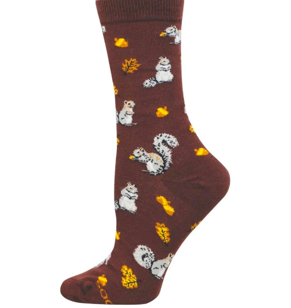 Squirrels in the Forest
