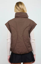 Sculpted Panel Quilted Mock Neck Puffer Vest