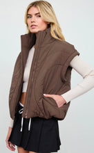Sculpted Panel Quilted Mock Neck Puffer Vest