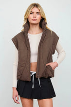 Sculpted Panel Quilted Mock Neck Puffer Vest