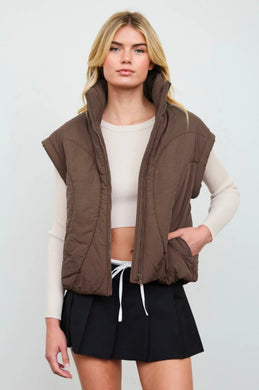 Sculpted Panel Quilted Mock Neck Puffer Vest