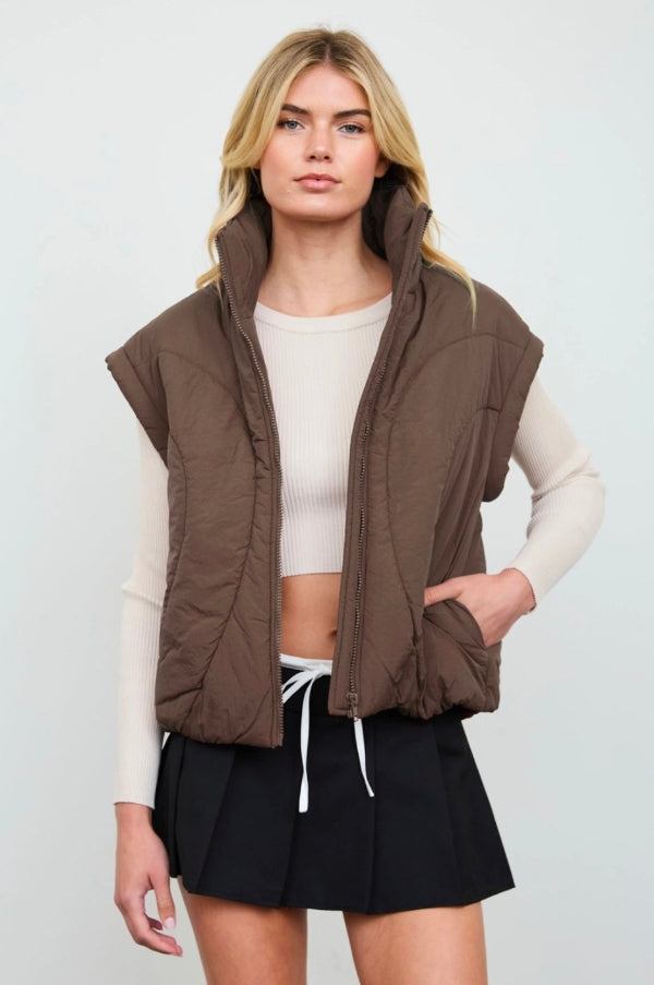 Sculpted Panel Quilted Mock Neck Puffer Vest