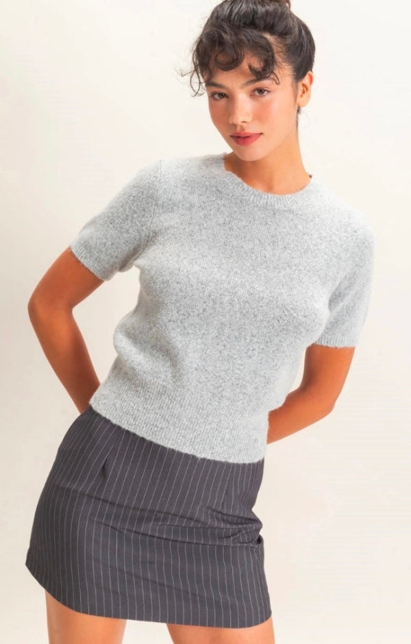 Crew Neck Short Sleeve Knit Top